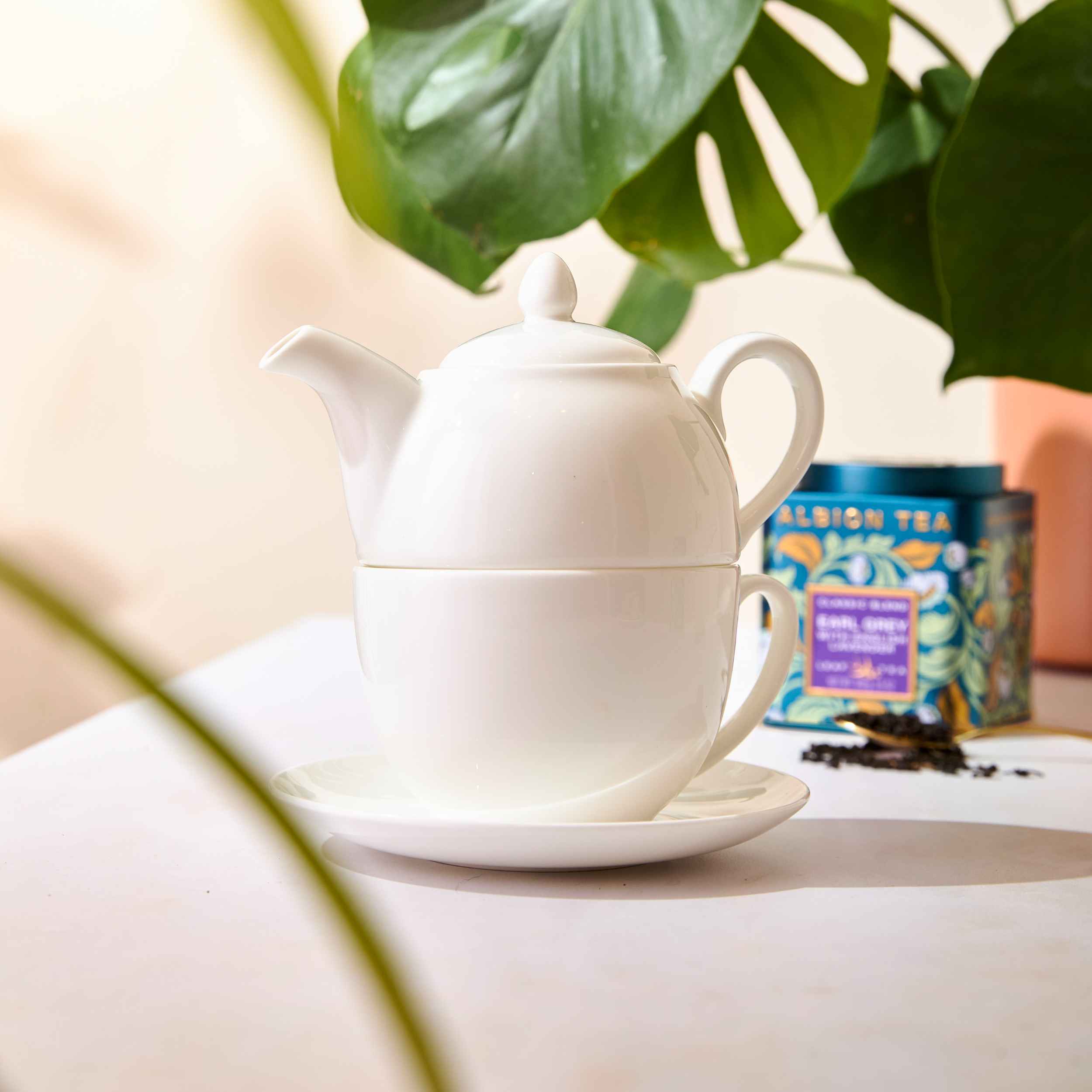 Classic White Tea for One Set